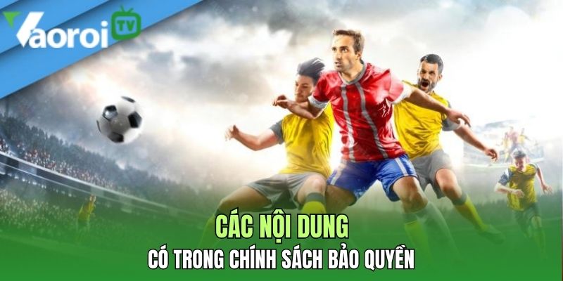 Bản quyền – Chính sách mới nhất về mọi nội dung liên quan đến website 1 cac noi dung co trong chinh sach bao quyen